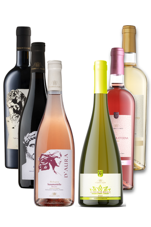 6 vini biologici pugliesi IGT e IGP primitivo susumaniello nero di troia