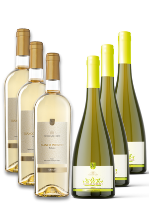 Box Vini Bianchi Biologici 