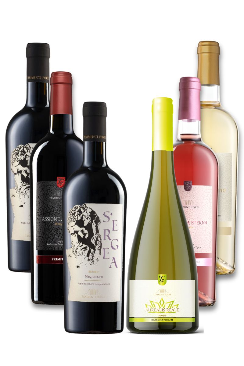 Box Forte Experience