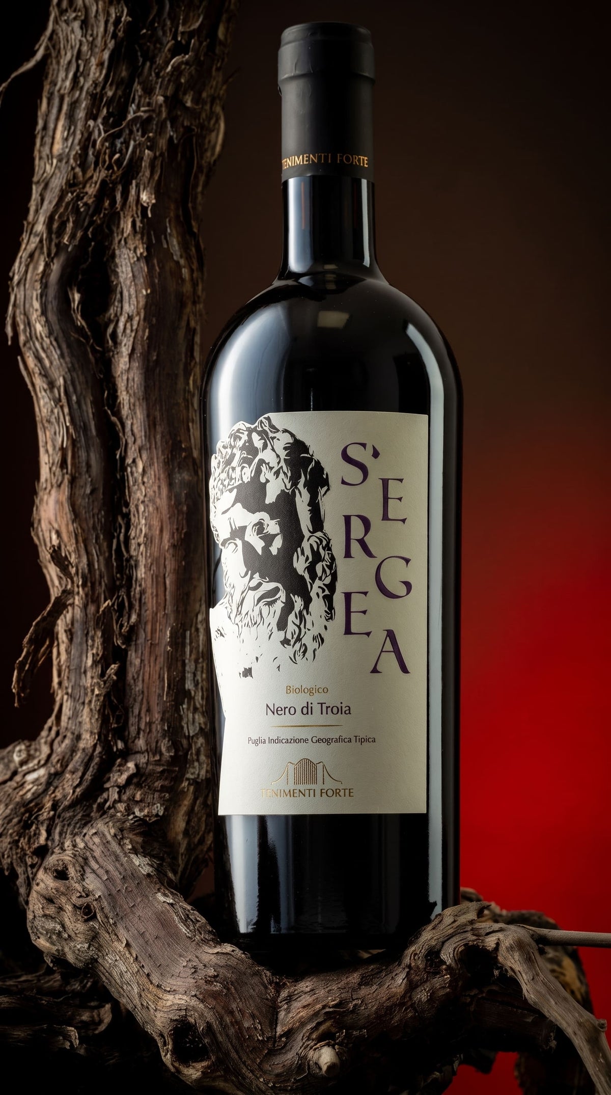Bottiglia di S'Ergea appoggiata a un ceppo di vite, vino rosso pugliese biologico